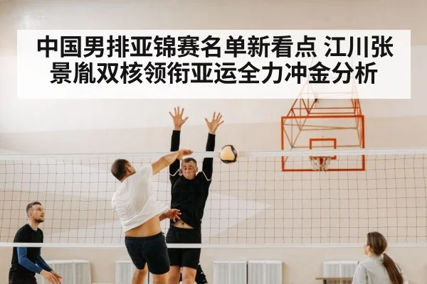 volleyball net block defense