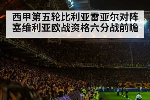 soccer stadium crowd night