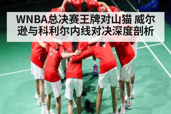 WNBA总决赛王牌对山猫 威尔逊与科利尔内线对决深度剖析 | Kaiyun Sports